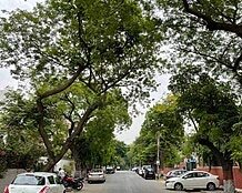 Green Park Delhi