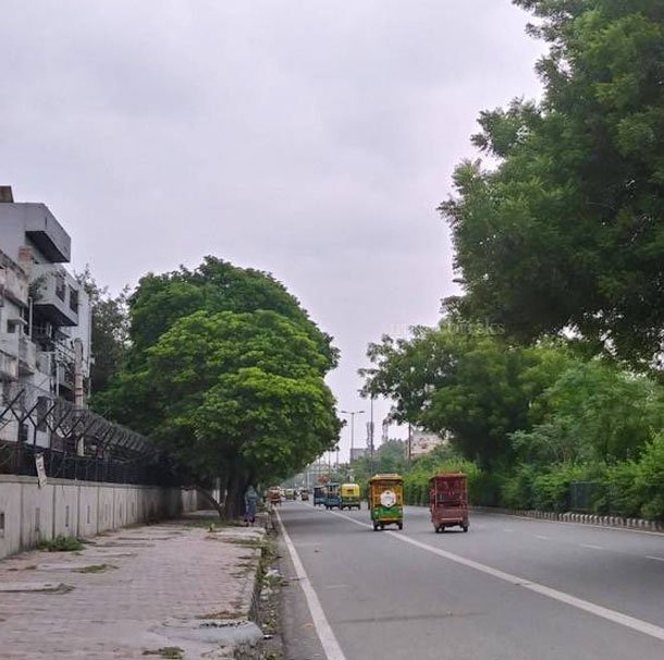 Paschim Vihar Escorts